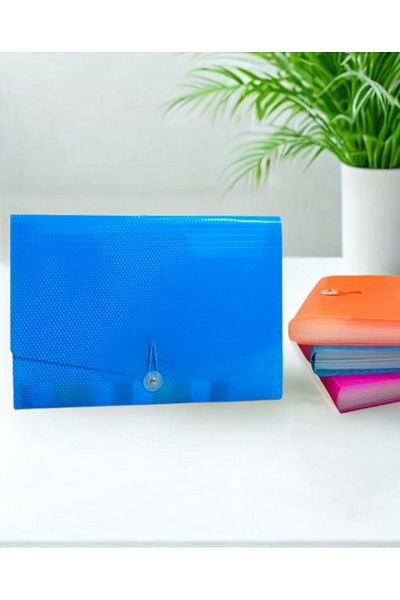 Limmy Bellows File with 13 Section Pockets - Blue