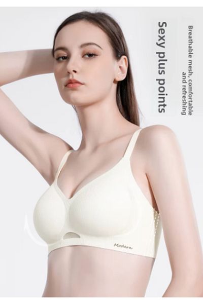 pae Modern Comfortable Removable Pet Bra with No Feeling