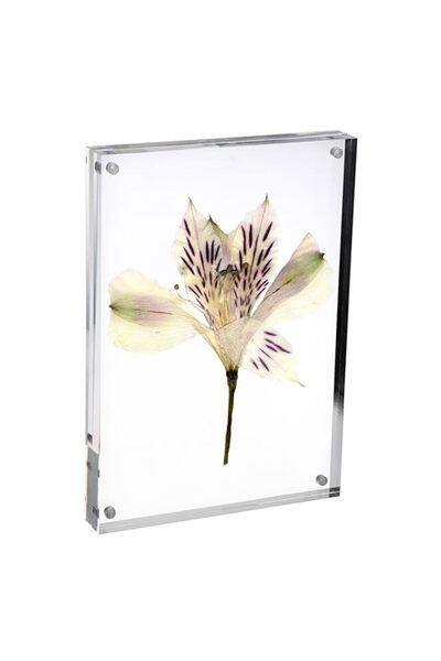 Generic Brand BTSKY 5 x 17.8 cm Clear Magnetic Acrylic Picture Frame - Double...