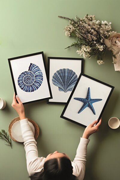 Postifull Black Painting Set, 3 Pieces Black Framed Poster Seashells Model No:300890, Blue Wall Decor