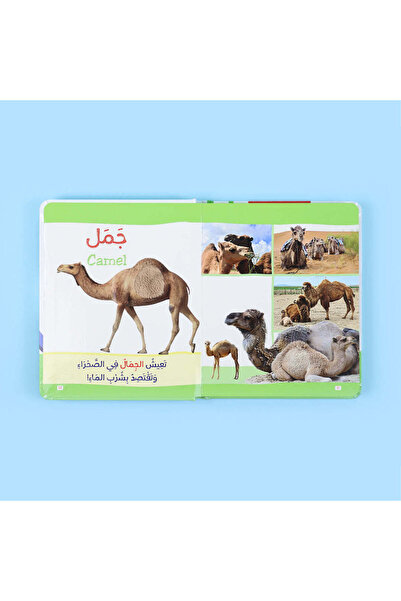 Creative ideas for publishing كتاب مونتيسوري الأول : الحيوانات باللمس