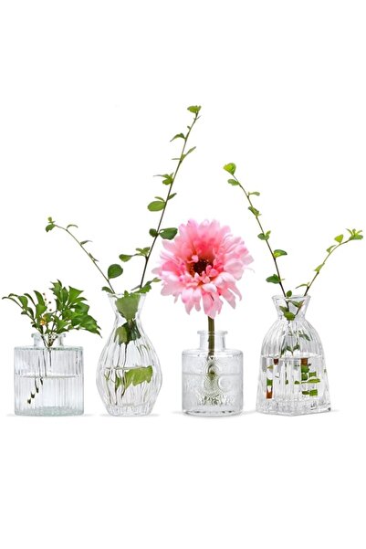 Generic مجموعة مزهريات زجاجية من مابوكسي، مكونة من 4 قطع، مزهريات زهور صغيرة ...