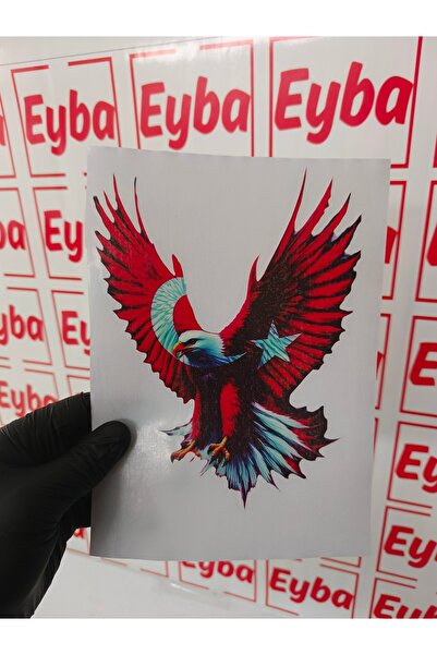 EYBA türk bayrağı kartal araba karavan renkli baskı baskes Sticker 20x15 Cm