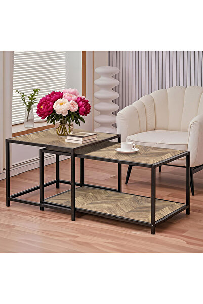 Generic Movo Shelley 2-Piece Coffee Table Set