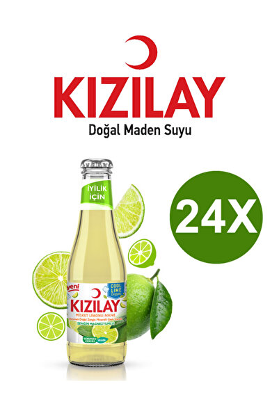 Magika Design Kızılay Misket Limonu ve Nane Aromalı Maden Suyu 200 ML x 24 Adet