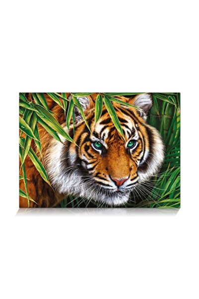 Seher Star Tiger Look Puzzle 500 Pieces