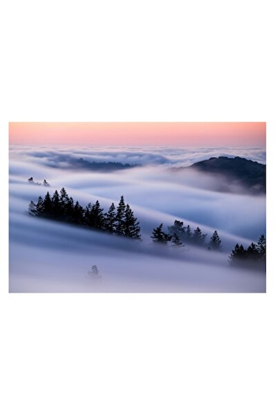 OEM Pictură pe pânză, Premium, Poftă de ceață, 39 x 26cm