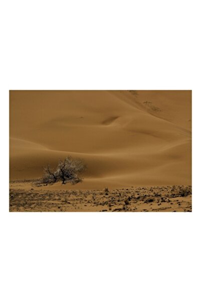 OEM Tablou Canvas, 'Solitar printre dunele desertului', Dune, Nisip, Desert, ...