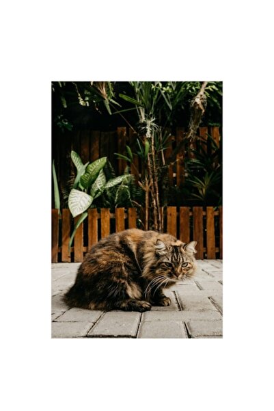 OEM Pictură pe pânză, „Felină meditativă într-o grădină secretă”, 100 x 100cm