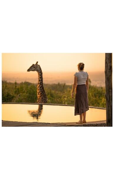 OEM Pictură pe pânză - „Apus de soare african cu girafă”