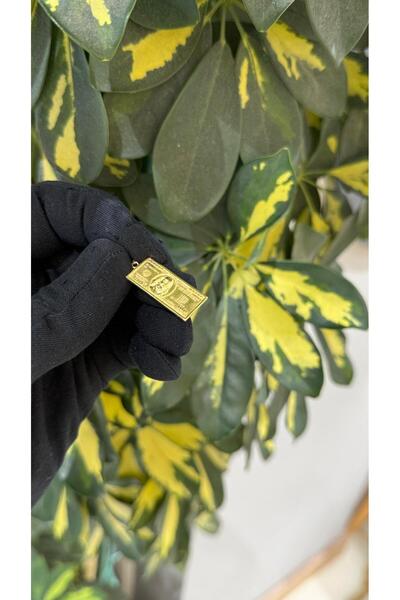 Caner Kuyumcusu 14 Ayar Altın Kolye Dolar Şeklinde Kolye Ucu