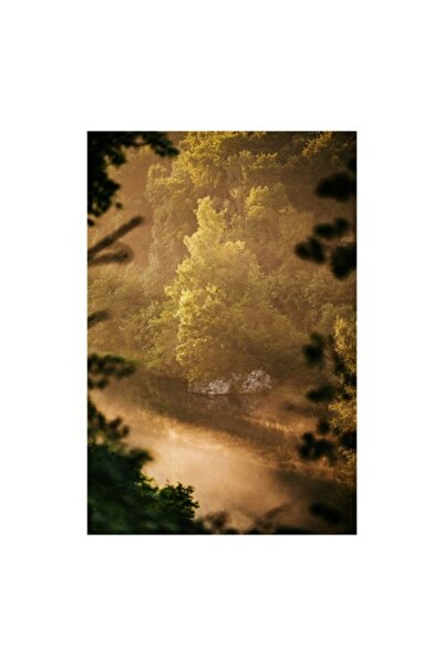 OEM Tablou Canvas, 'Padurea invaluita in ceata aurie', Natura, Verdeata, Lumina, Ceata, Rau, Padure, Ref