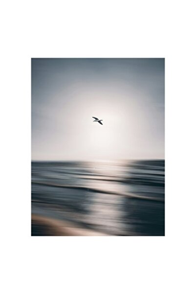 OEM Tablou Canvas, "Pescarusul zburand la rasaritul soarelui", Pasare, Zbor, ...