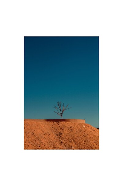 OEM Pictură pe pânză, „Copacul singuratic în deșertul roșu”, 50 x 70cm