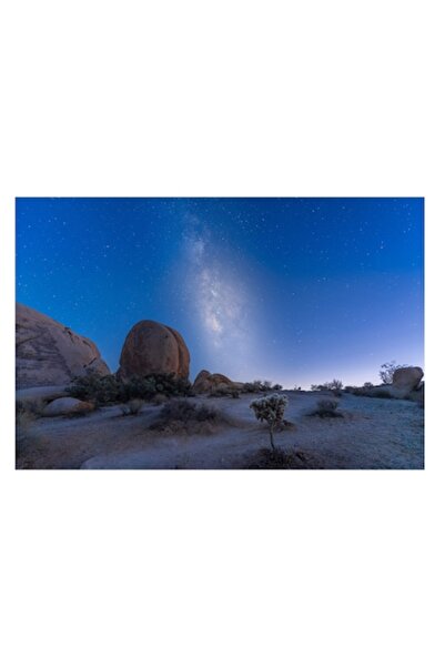 OEM Pictură pe pânză „Calea Lactee în Deșertul Stâncos”, Stele, Cerul Nopții,...