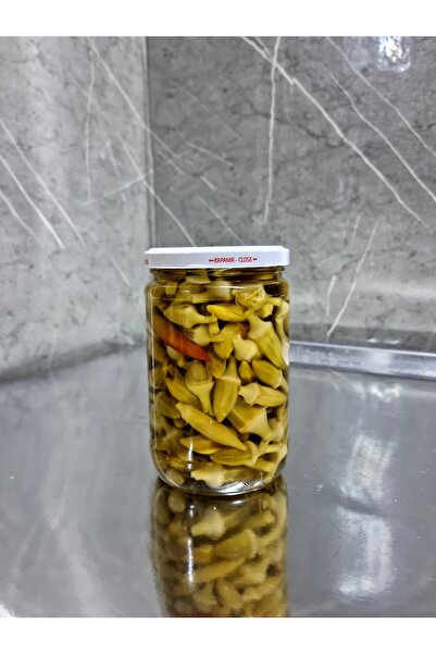 BAYIR GURME EL YAPIMI BAMYA TURŞUSU