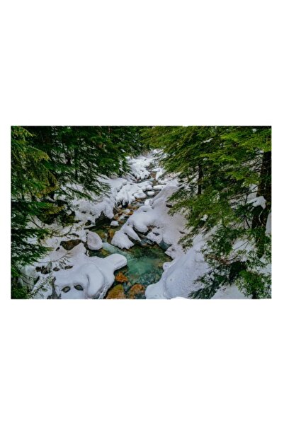 OEM Pictură pe pânză, „Râu înghețat printre copaci verzi”, Zăpadă, Pârâu, Păd...