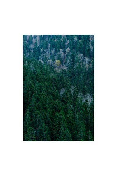 OEM Pictură pe pânză, „Ținută de pădure și umbre verzi”, Copaci, Verde, Dens,...