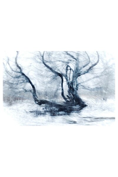 OEM Tablou Canvas, 'Dansul fantomatic al copacului iernatic'