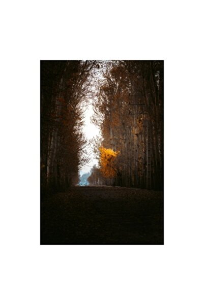 OEM Pictură pe pânză, „Copac auriu în pădurea tăcută”, scenă de toamnă, 50 x ...