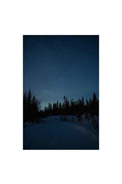 OEM Tablou Canvas, 'Noapte in padurea inzapezita sub stele'