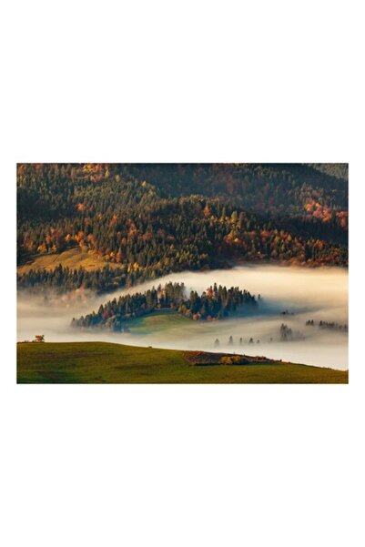 OEM Tablou Canvas, Premium, Panza Bumbac, Sasiu Lemn