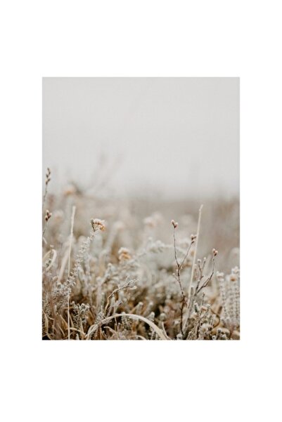 OEM Pictură pe pânză, „Brușă peste flori de toamnă”, Calm, Gri, 50 x 70cm