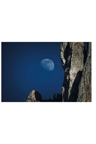 OEM Tablou Canvas, Premium, Panza Bumbac, Sasiu Lemn, 150 x 100cm