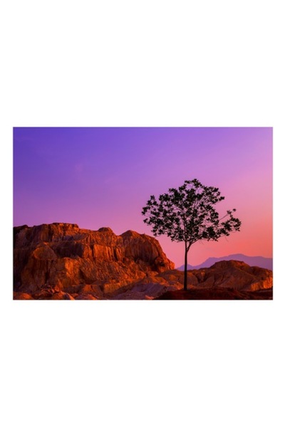 OEM Tablou Canvas, 'Singuratatea unui copac la apus', 90 x 50 cm