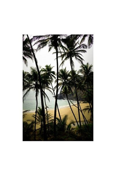 OEM Pictură pe pânză, „Plajă liniștită sub palmieri înalți”