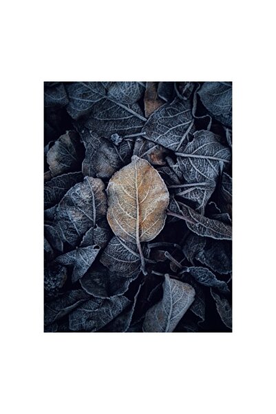 OEM Tablou Canvas, Ultima suflare a toamnei înghețate