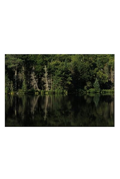 OEM Pictură pe pânză, „Reflecții tăcute pe lacul pădurii”, 70 x 50 cm