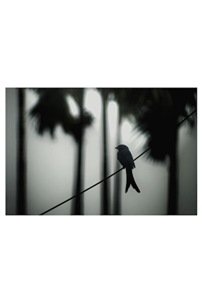 OEM Pictură pe pânză, „Pasăre solitară în dimineața cețoasă”