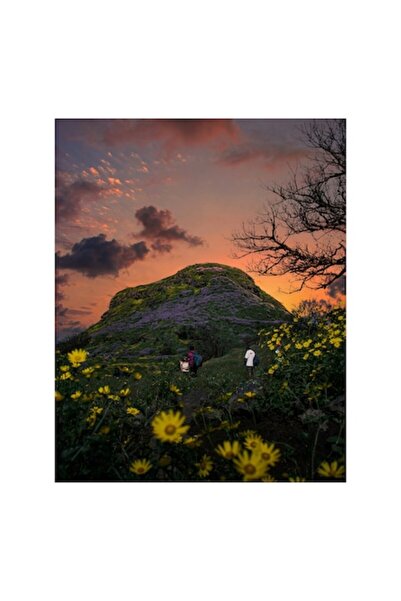 OEM Pictură pe pânză, „Magia naturii la apusul de soare de vară”, Flori, Apus...