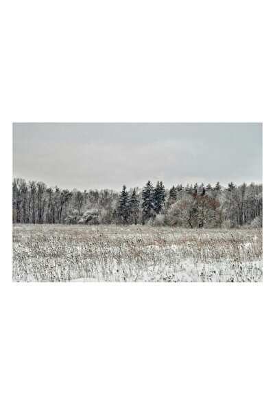 OEM Tablou Canvas, 'Iarna in padurea inghetata si linistita'