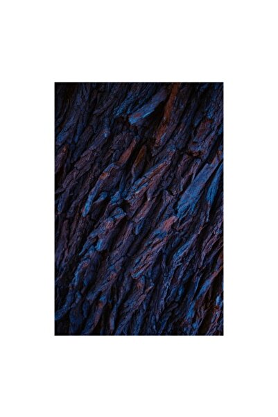 OEM Pictură pe pânză, „Texturi de scoarță în umbră albastră”, 100 x 150 cm