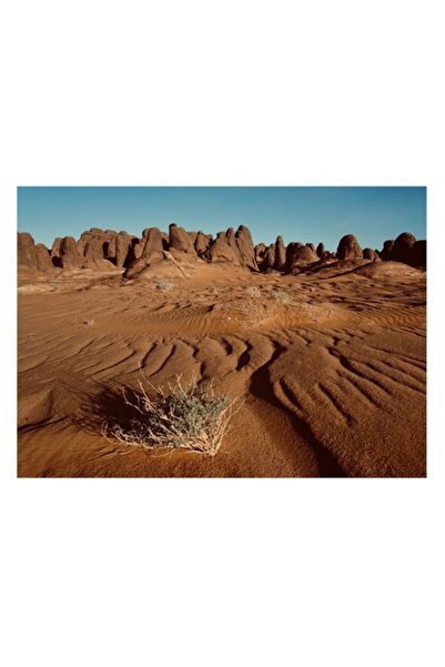 OEM Tablou Canvas, Dunele Solitare ale Desertului Tacut, Parcurs, Pustiu, Pia...