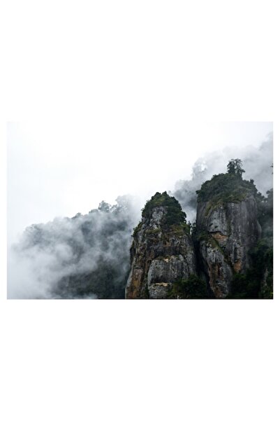 OEM Tablou Canvas, "Rocile ascunse in ceata deasa", Ceturi, Stanci, Vegetatie...