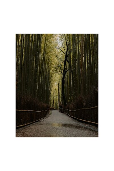 OEM Pictură pe pânză, „Alee mistică de bambus”, Bambus, Cale, Verdeață, Senin...