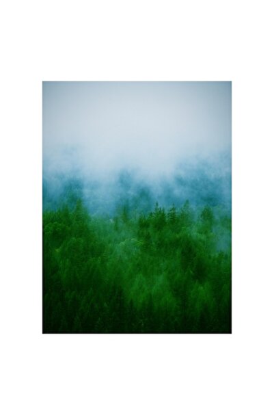 OEM Pictură pe pânză, „Ceață deasupra pădurii dese”, 50 x 70 cm