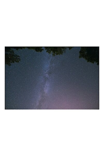 OEM Pictură pe pânză, „Murmurul infinit al stelelor albastre”, Stele, Cer, Noapte, Pădure, Galaxie, Lumină, Univ