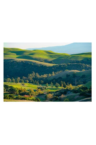 OEM Pictură pe pânză „Culorile verzi ale dealurilor îmbrățișate”