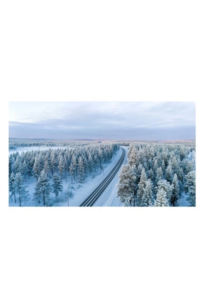 OEM Pictură pe pânză, „Calea spre infinit în iarna albă”, Iarnă, Pădure, Zăpadă, Cale, Cer, Pasaj, Calm