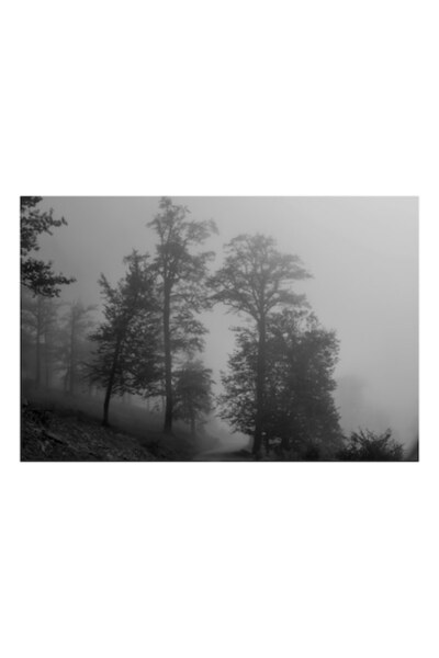 OEM Pictură pe pânză, „Copaci pierduți în ceața dimineții”, Mistic, Enigmatic...