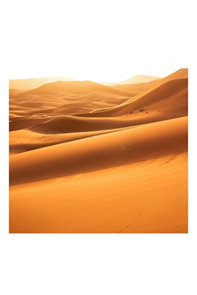 OEM Tablou Canvas, 'Dunele aurii ale desertului infinit', 50 x 70cm