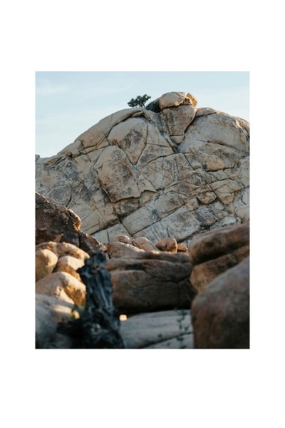 OEM Tablou Canvas, Copac solitar pe stanca uriasa, Pietre, Stanci, Arbori, Ce...