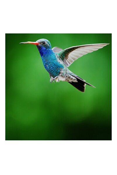 OEM Tablou Canvas, 'Colibriul gratios in zbor verde', Plutire, Vioiciune, Cul...