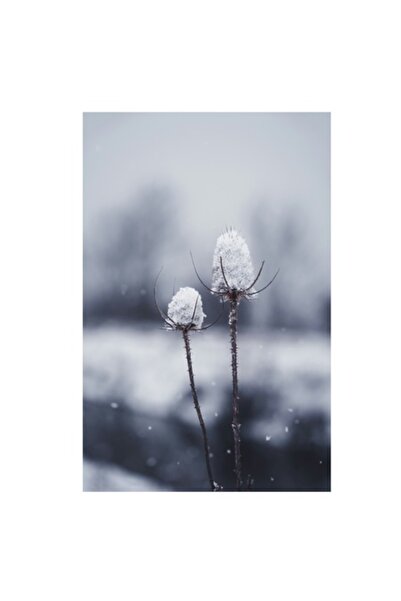 OEM Pictură pe pânză „Flori de iarnă la amurg”, 50 x 90 cm