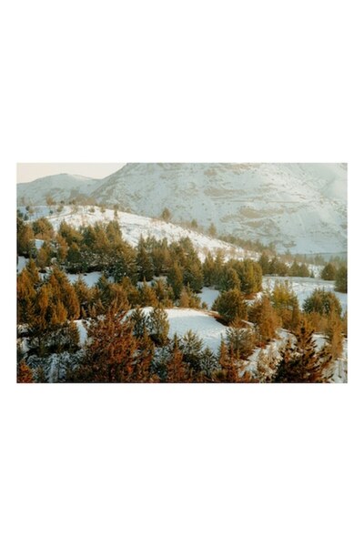 OEM Tablou Canvas, "Iarna in padurile de munte", Munti, Padure, Zapada, Brazi, Peisaj, , Iarna, D