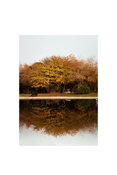 OEM Tablou Canvas, 'Reflexia toamnei pe lac linistit', Copaci, Toamna, Reflec...